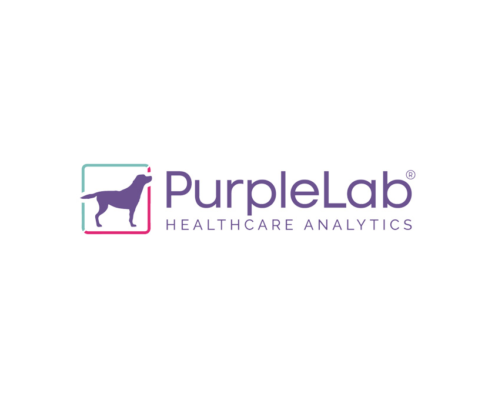 PurpleLab Healthcare Analytics logo on white background with